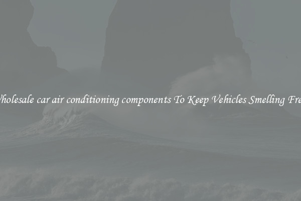 Wholesale car air conditioning components To Keep Vehicles Smelling Fresh
