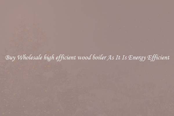 Buy Wholesale high efficient wood boiler As It Is Energy Efficient