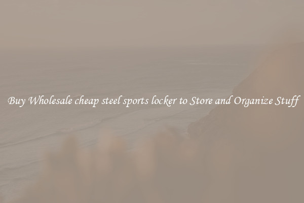 Buy Wholesale cheap steel sports locker to Store and Organize Stuff