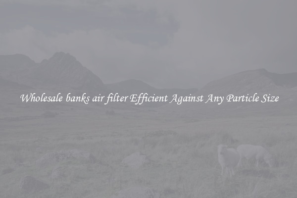 Wholesale banks air filter Efficient Against Any Particle Size