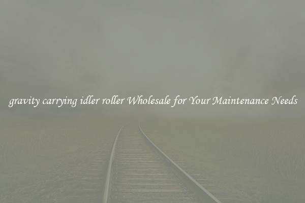 gravity carrying idler roller Wholesale for Your Maintenance Needs
