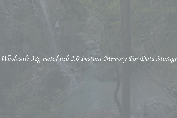 Wholesale 32g metal usb 2.0 Instant Memory For Data Storage