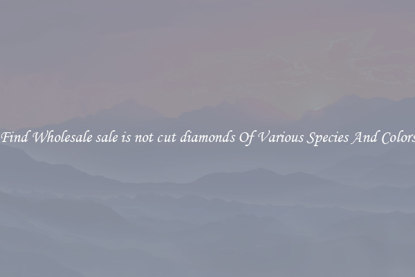 Find Wholesale sale is not cut diamonds Of Various Species And Colors