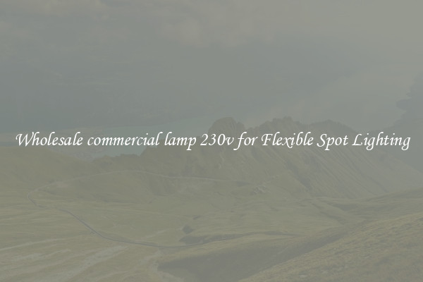Wholesale commercial lamp 230v for Flexible Spot Lighting