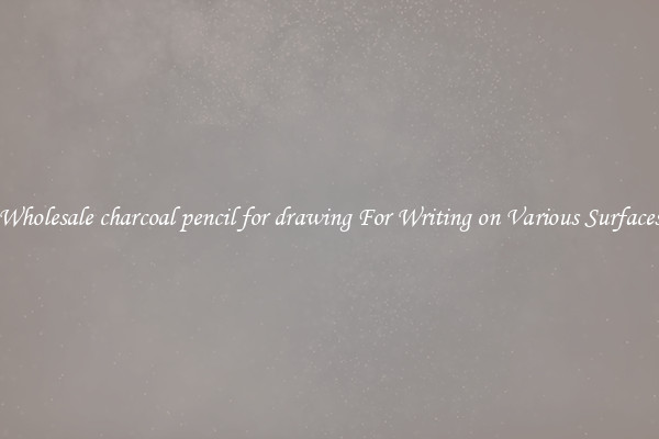 Wholesale charcoal pencil for drawing For Writing on Various Surfaces