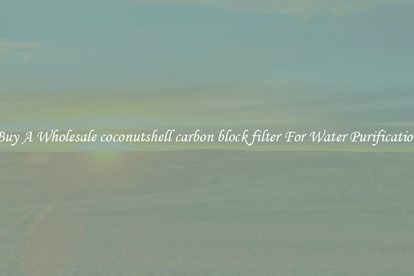 Buy A Wholesale coconutshell carbon block filter For Water Purification