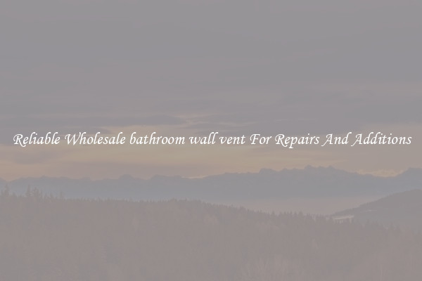 Reliable Wholesale bathroom wall vent For Repairs And Additions