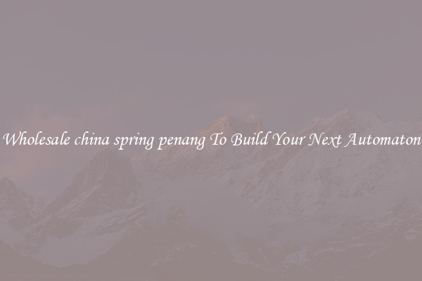 Wholesale china spring penang To Build Your Next Automaton