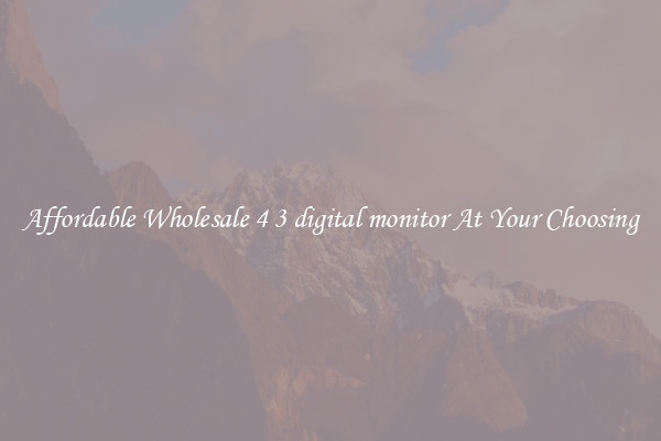 Affordable Wholesale 4 3 digital monitor At Your Choosing