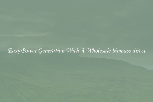 Easy Power Generation With A Wholesale biomass direct