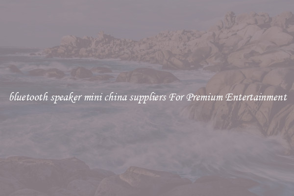 bluetooth speaker mini china suppliers For Premium Entertainment
