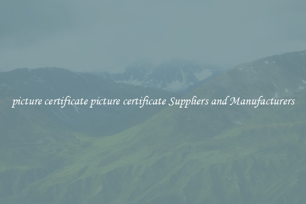 picture certificate picture certificate Suppliers and Manufacturers