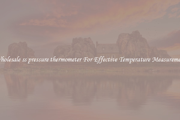 Wholesale ss pressure thermometer For Effective Temperature Measurement