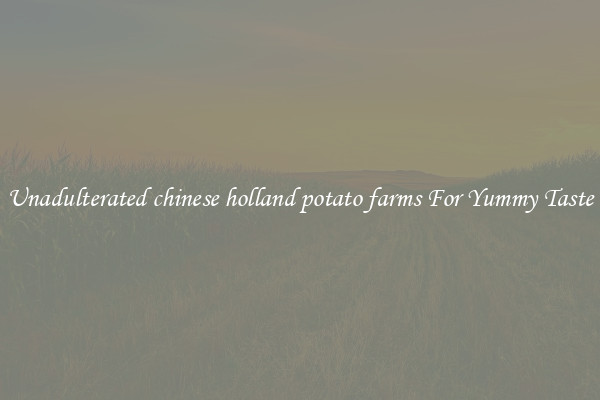 Unadulterated chinese holland potato farms For Yummy Taste