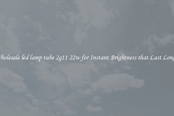 Wholesale led lamp tube 2g11 22w for Instant Brightness that Last Longer