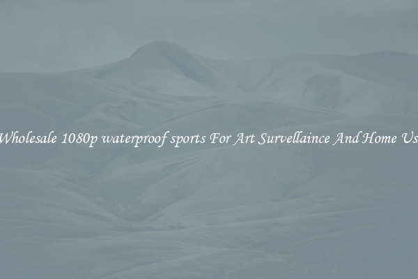 Wholesale 1080p waterproof sports For Art Survellaince And Home Use