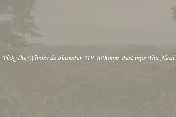 Pick The Wholesale diameter 219 3000mm steel pipe You Need