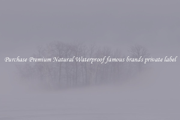 Purchase Premium Natural Waterproof famous brands private label