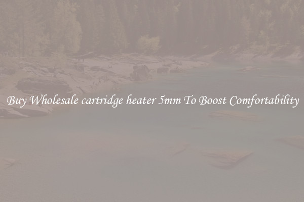 Buy Wholesale cartridge heater 5mm To Boost Comfortability