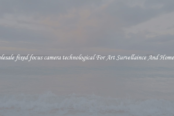 Wholesale fixed focus camera technological For Art Survellaince And Home Use