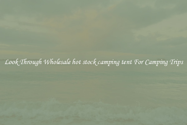 Look Through Wholesale hot stock camping tent For Camping Trips