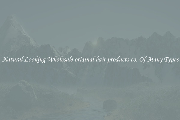Natural Looking Wholesale original hair products co. Of Many Types